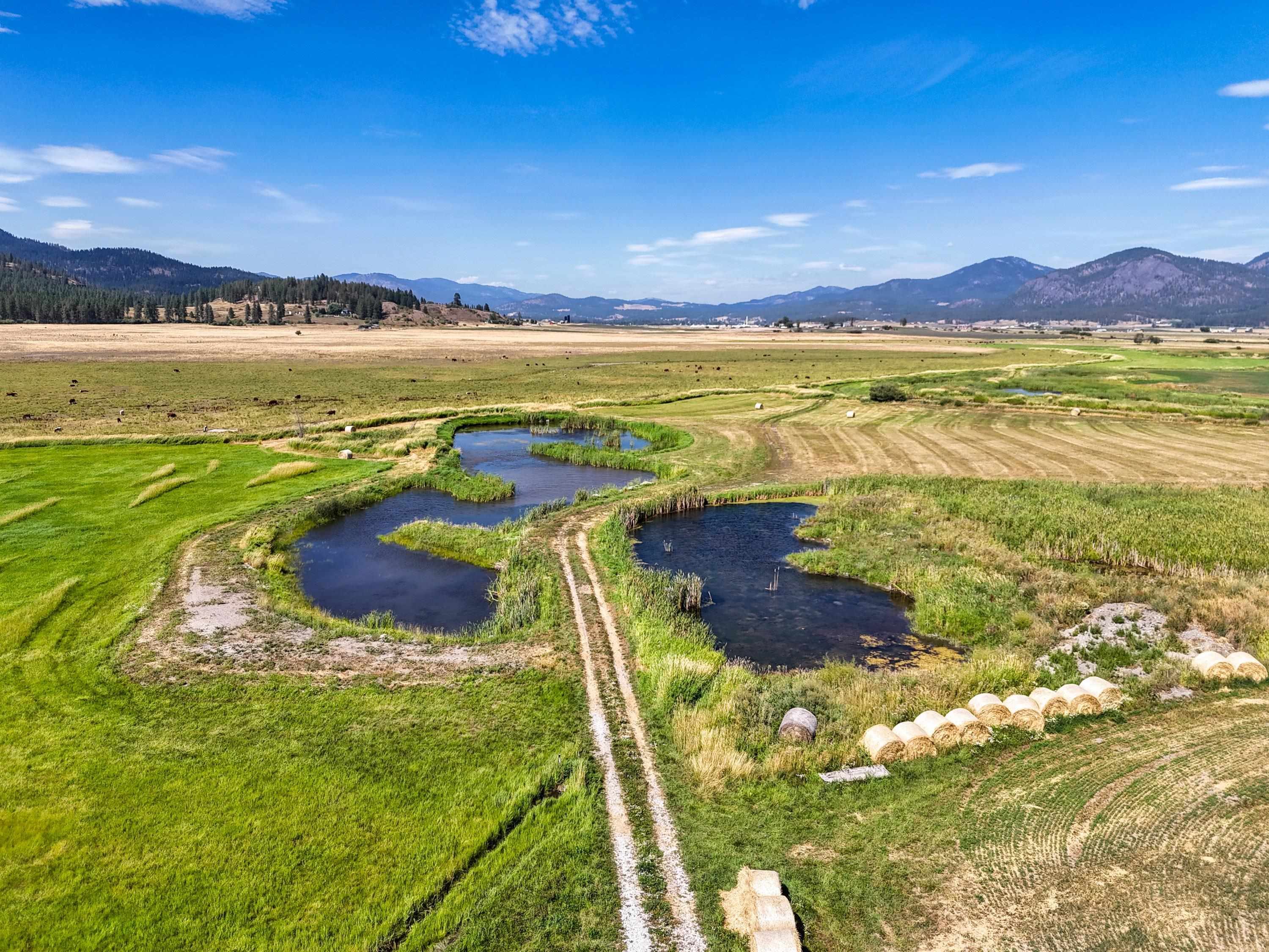 100-xx Newton Road Chewelah, WA 99109 - Photo 3 of 50