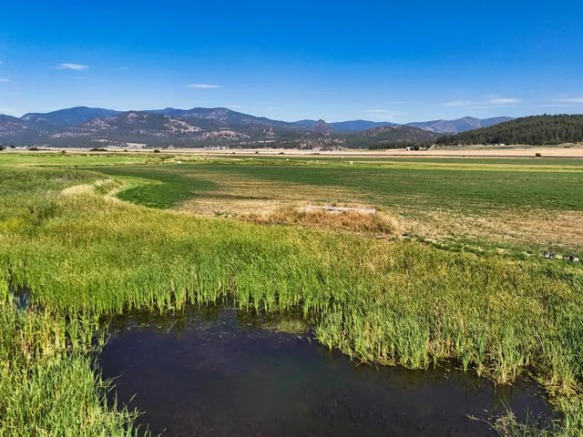 $750,000 | 100-xx Newton Road, Chewelah, WA 99109