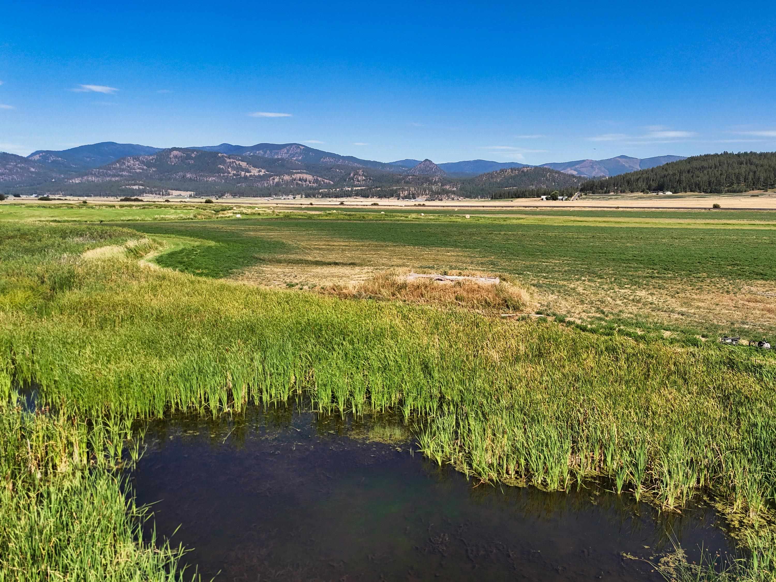 100-xx Newton Road Chewelah, WA 99109 - Photo 31 of 50