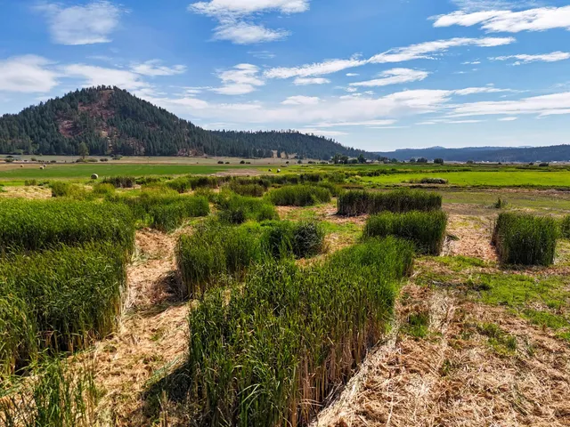 $750,000 | 100-xx Newton Road, Chewelah, WA 99109