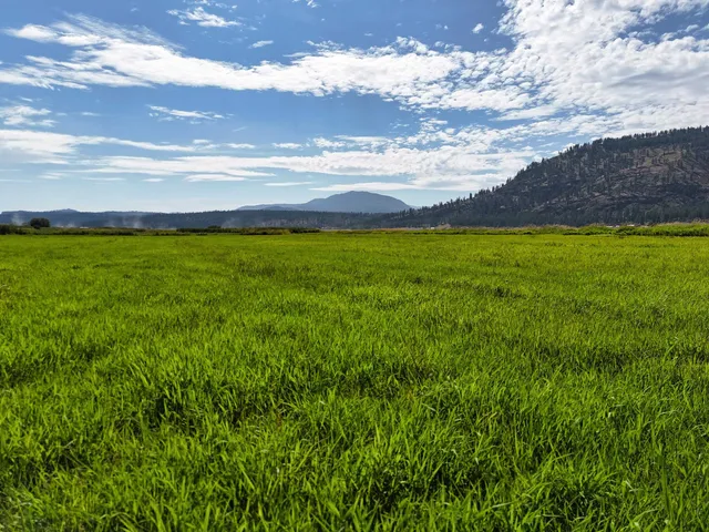 $750,000 | 100-xx Newton Road, Chewelah, WA 99109