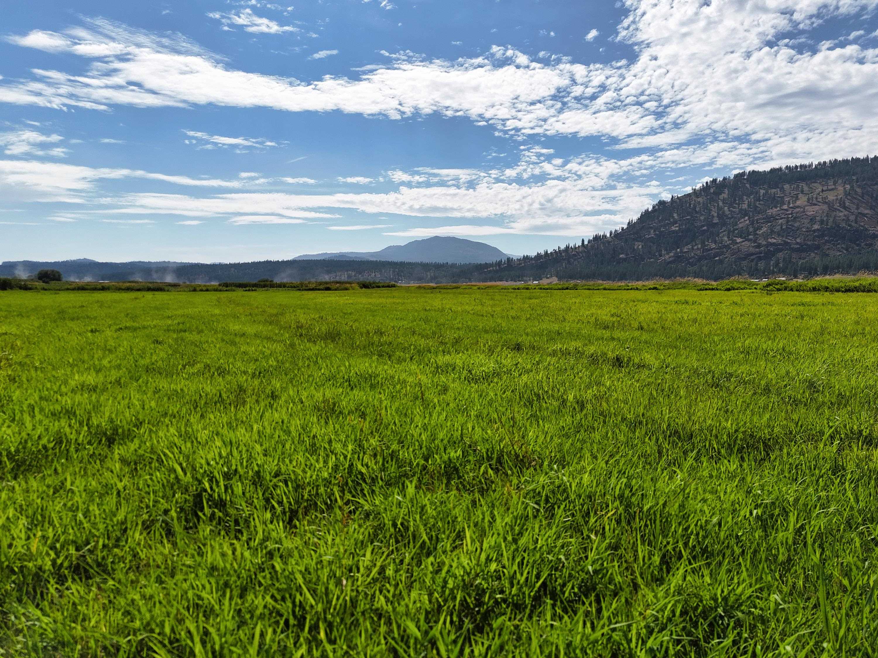 100-xx Newton Road Chewelah, WA 99109 - Photo 36 of 50