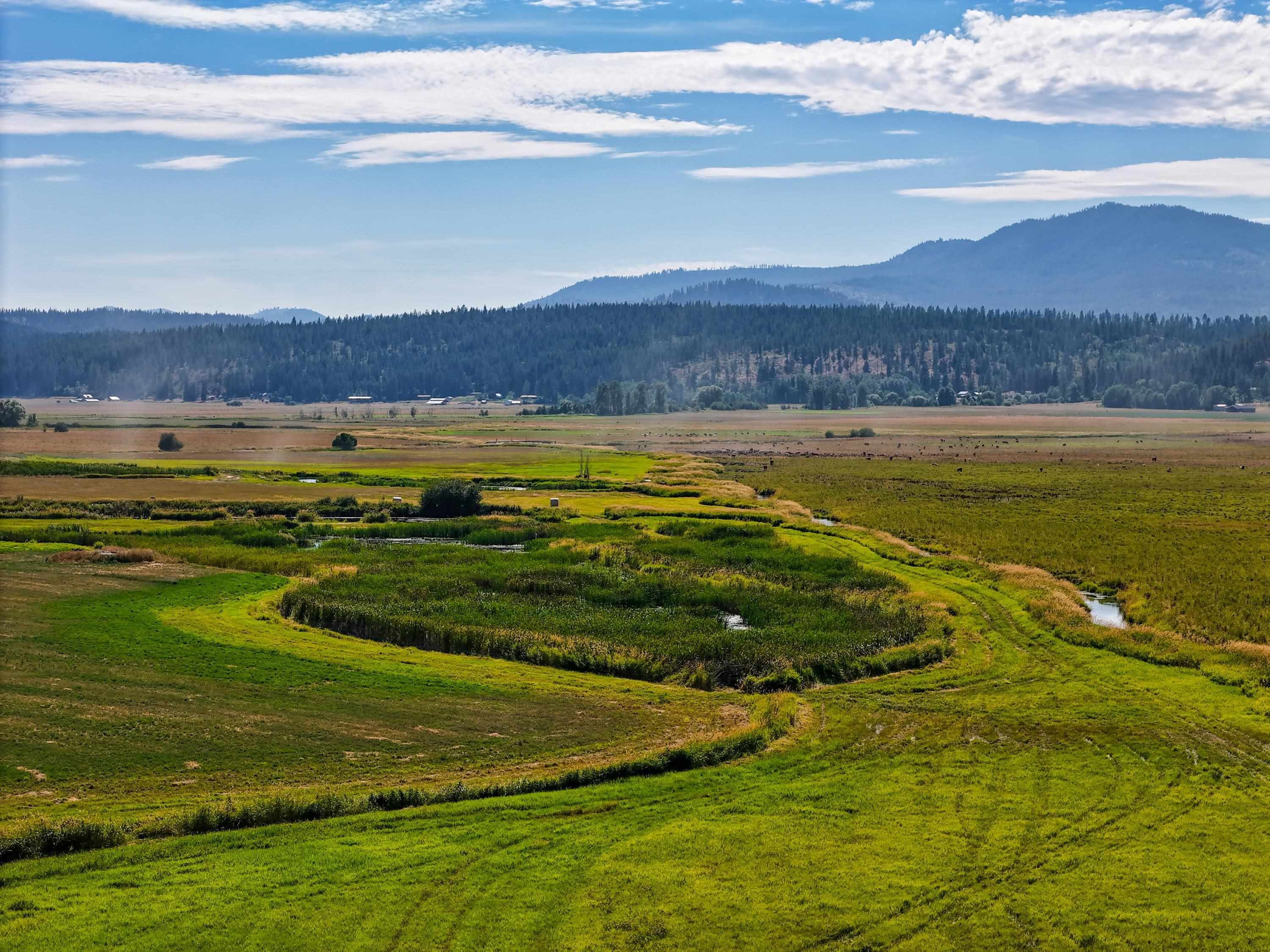 100-xx Newton Road Chewelah, WA 99109 - Photo 37 of 50