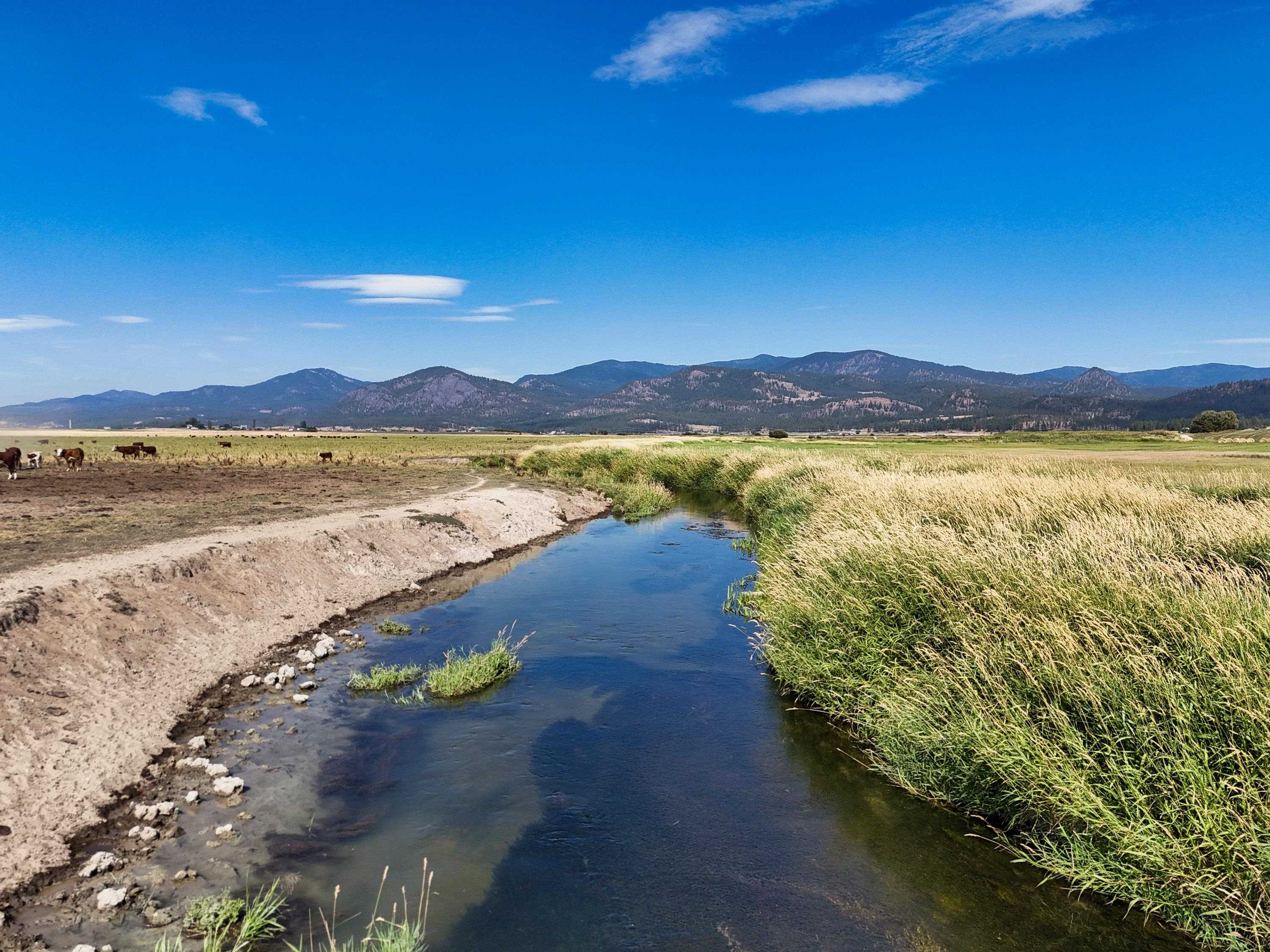 100-xx Newton Road Chewelah, WA 99109 - Photo 41 of 50