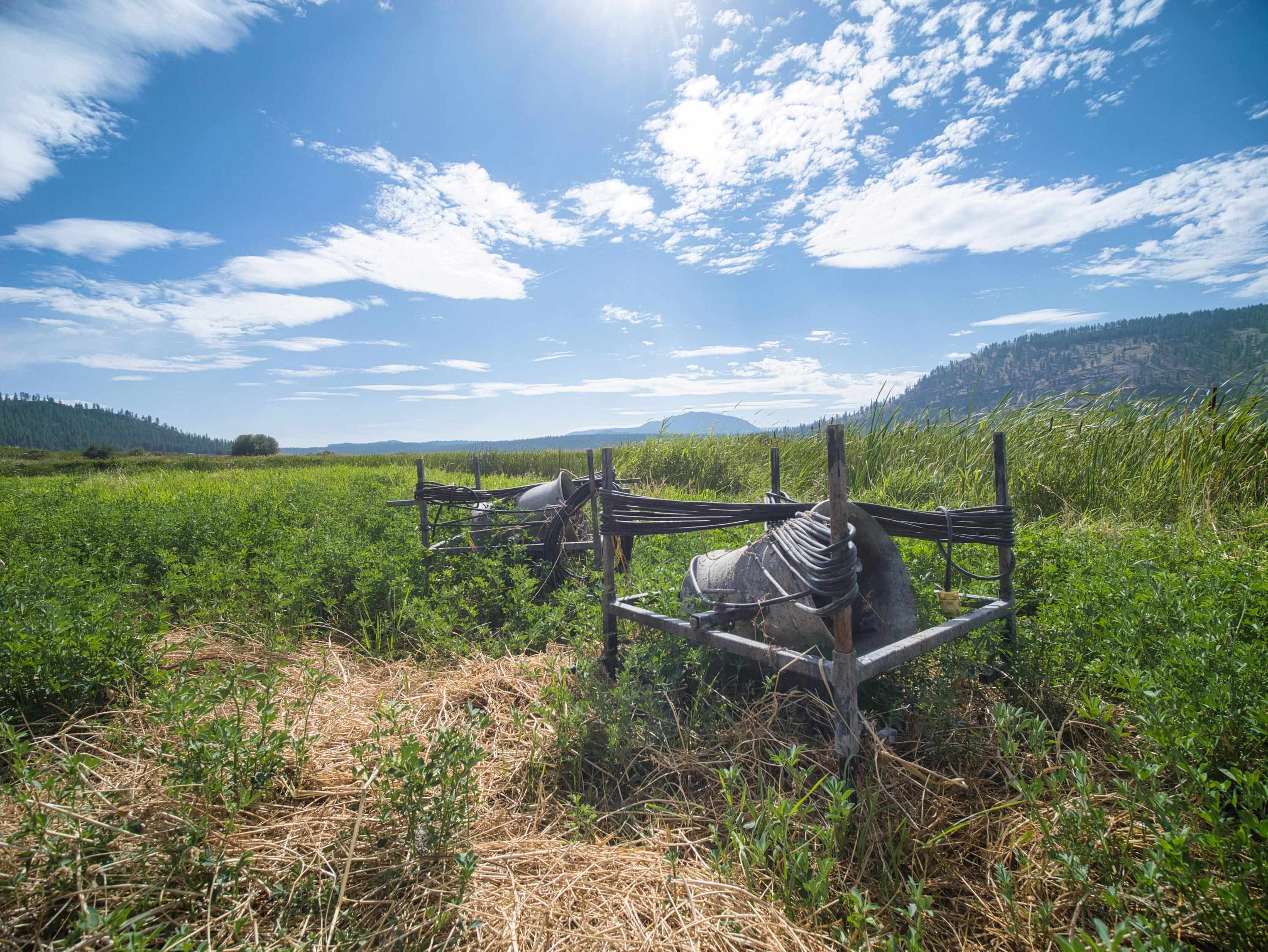 100-xx Newton Road Chewelah, WA 99109 - Photo 43 of 50
