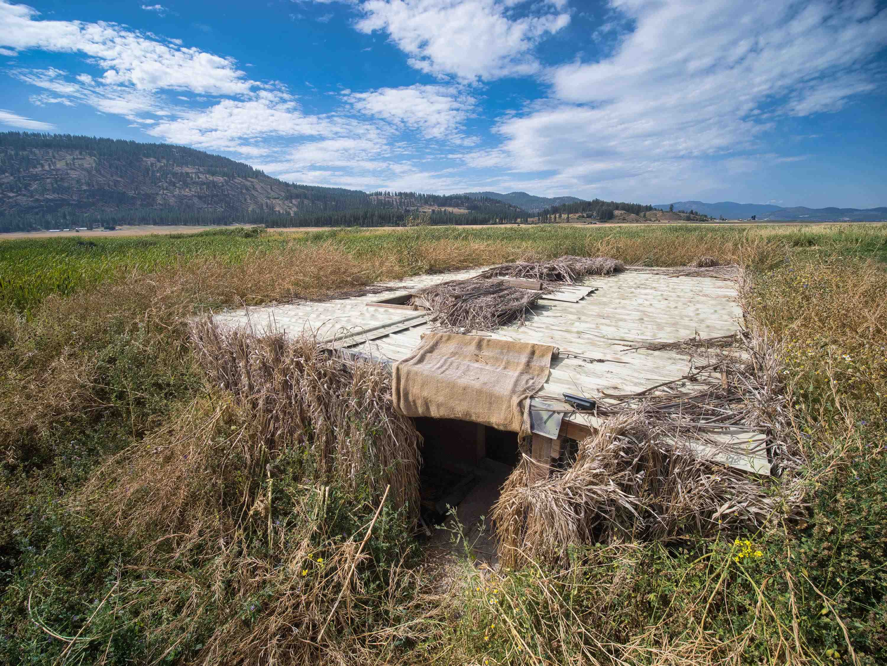 100-xx Newton Road Chewelah, WA 99109 - Photo 44 of 50