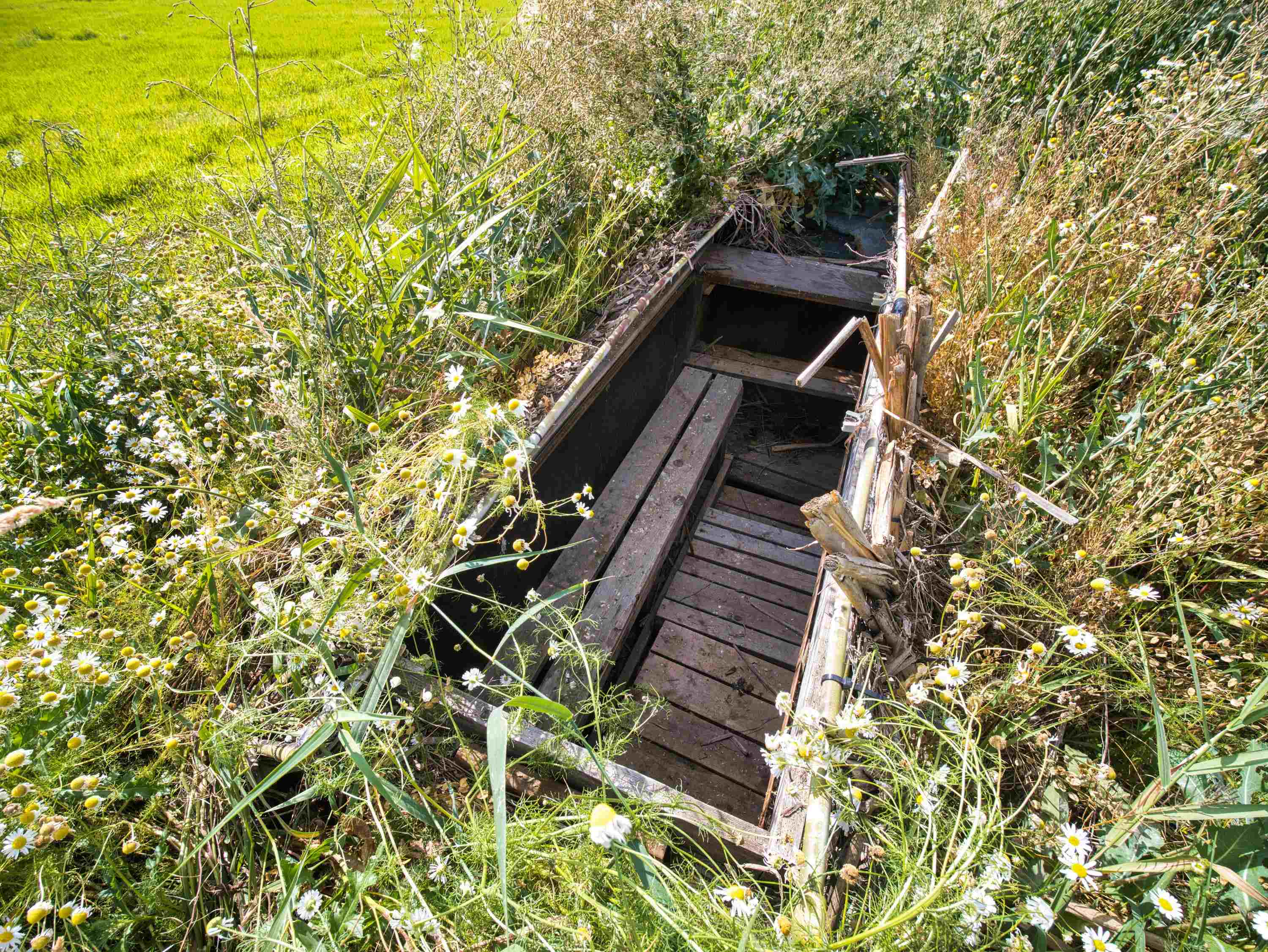 100-xx Newton Road Chewelah, WA 99109 - Photo 50 of 50