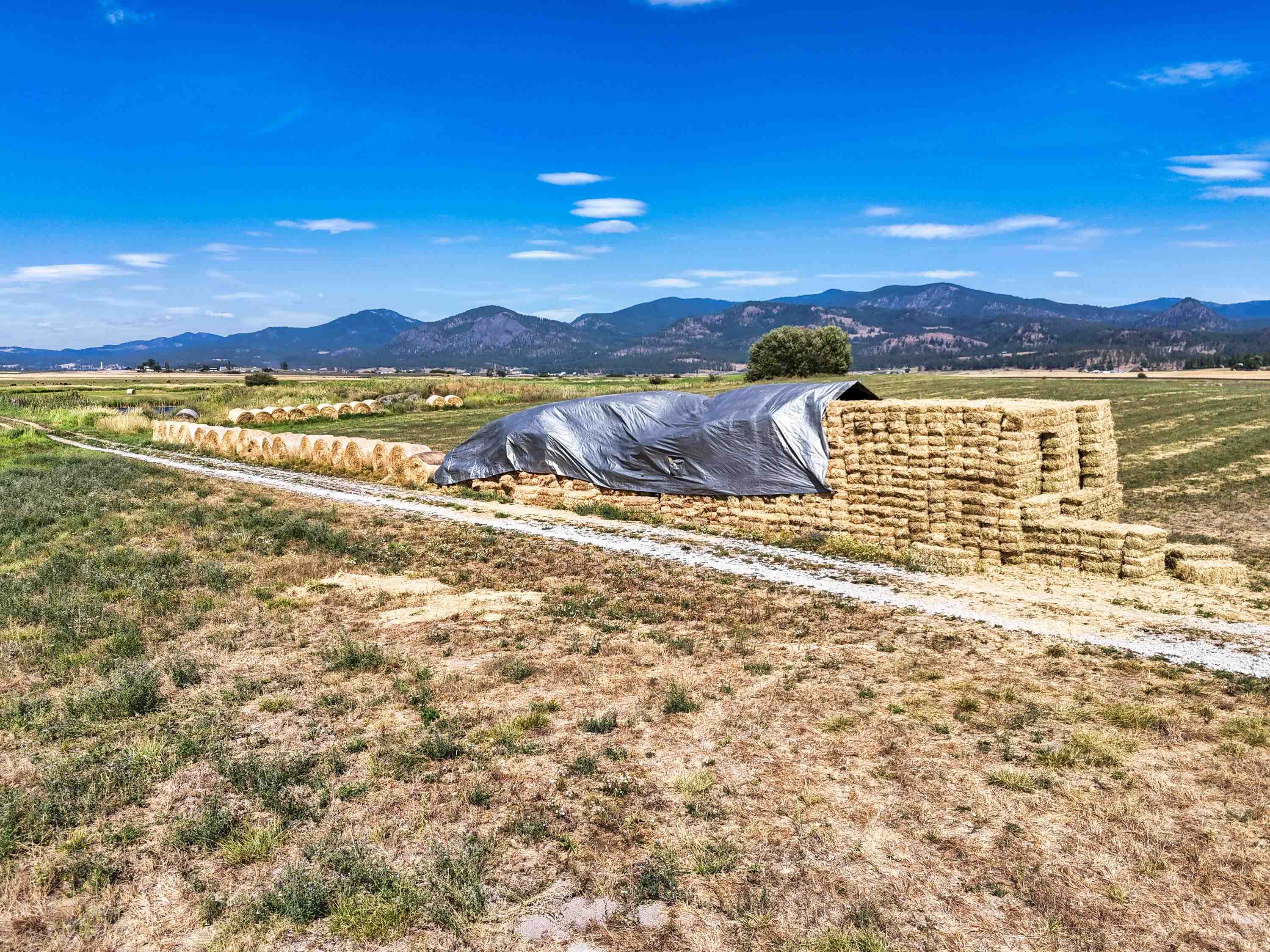 100-xx Newton Road Chewelah, WA 99109 - Photo 5 of 50