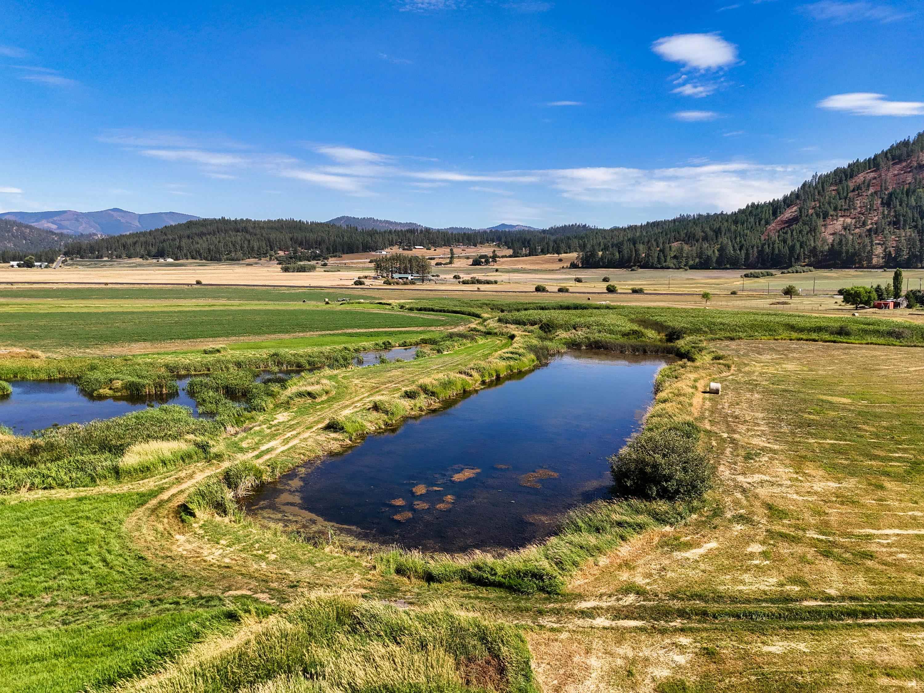 100-xx Newton Road Chewelah, WA 99109 - Photo 8 of 50