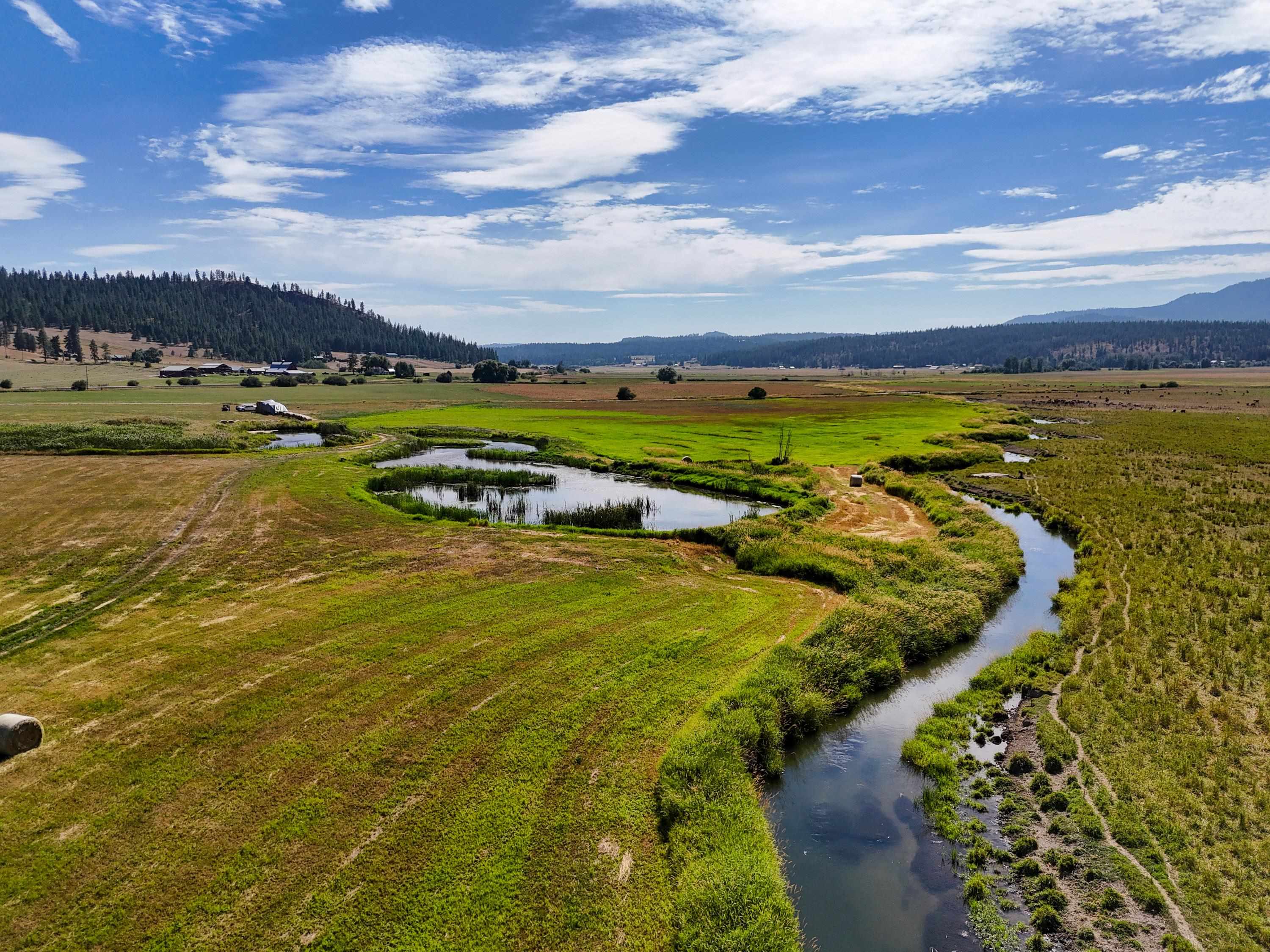 100-xx Newton Road Chewelah, WA 99109 - Photo 9 of 50