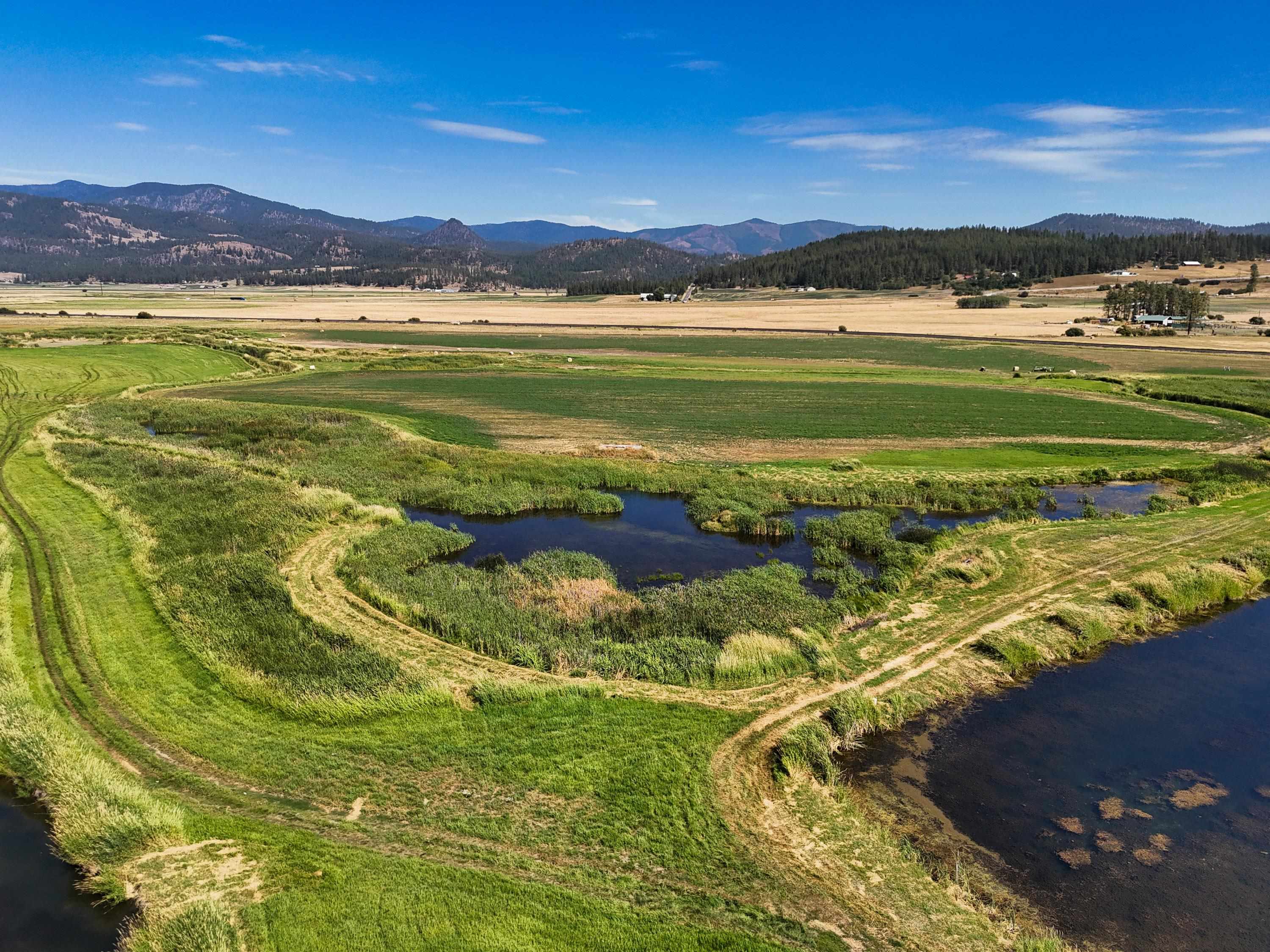 100-xx Newton Road Chewelah, WA 99109 - Photo 10 of 50