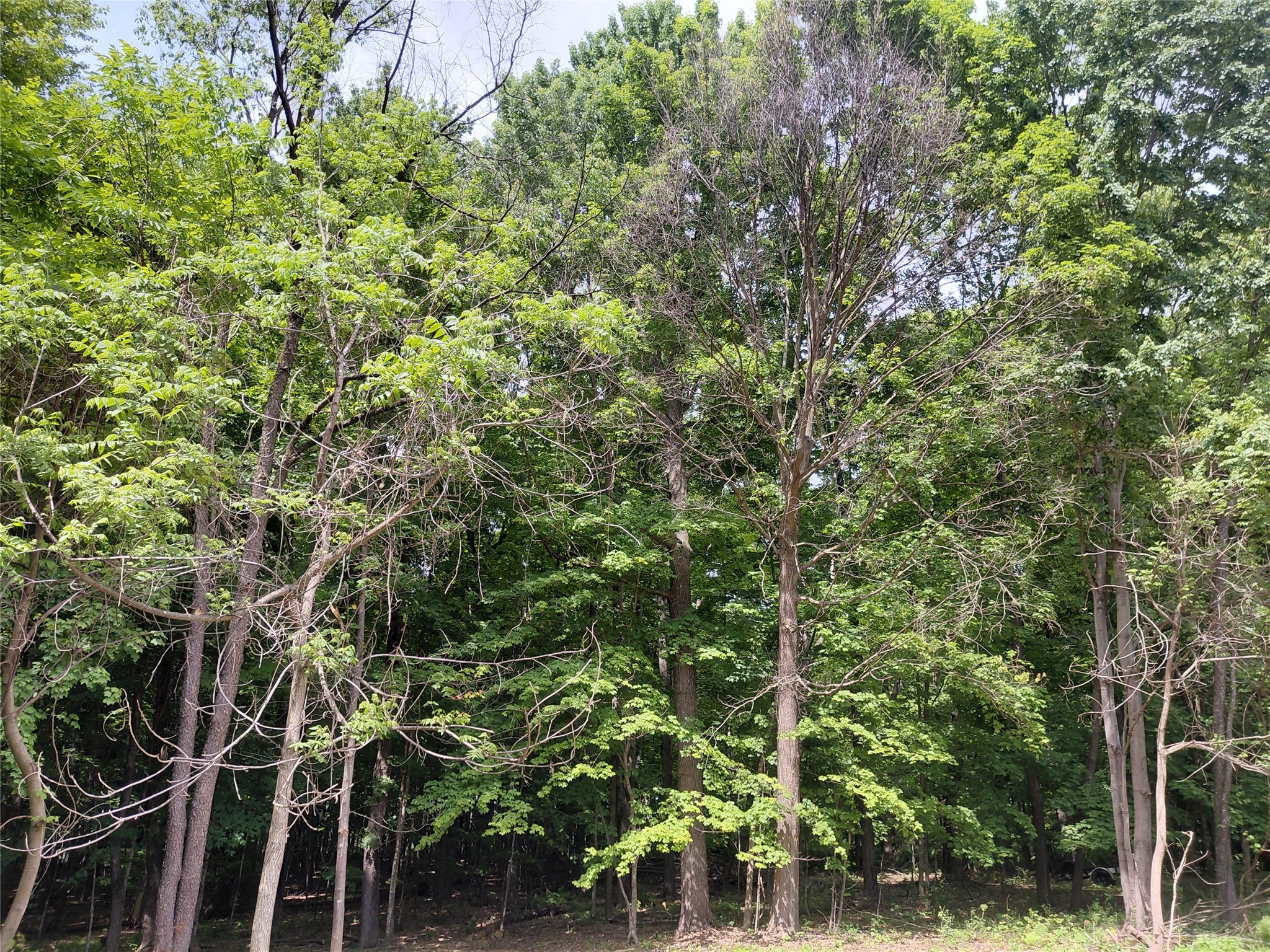 E5329 1370th Avenue Ridgeland, WI 54763 - Photo 11 of 14