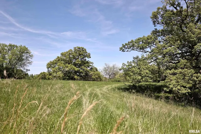 $200,000 | 0 Us 24 Highway, Lewistown, IL 61542