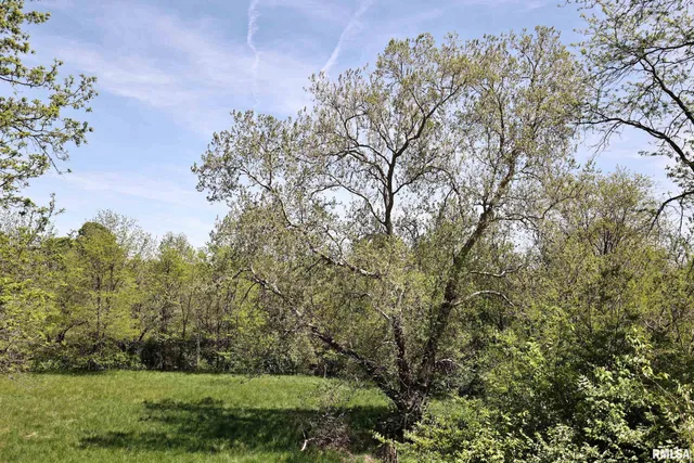 $200,000 | 0 Us 24 Highway, Lewistown, IL 61542