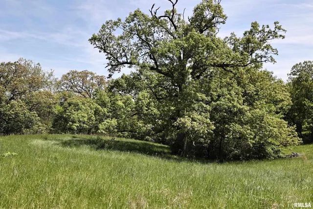 $200,000 | 0 Us 24 Highway, Lewistown, IL 61542