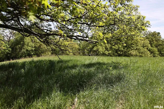 $200,000 | 0 Us 24 Highway, Lewistown, IL 61542