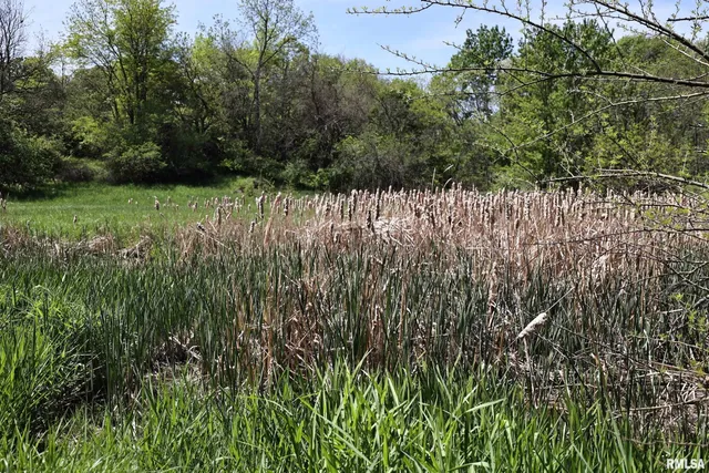 $200,000 | 0 Us 24 Highway, Lewistown, IL 61542