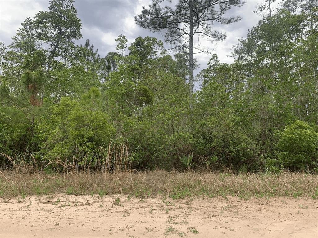 0 West Basford Street Interlachen, FL 32148 - Photo 1 of 2 a view of a yard