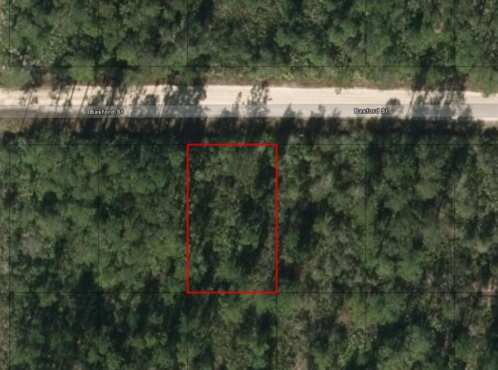 0 West Basford Street Interlachen, FL 32148 - Photo 2 of 2 a view of a lake with a tree