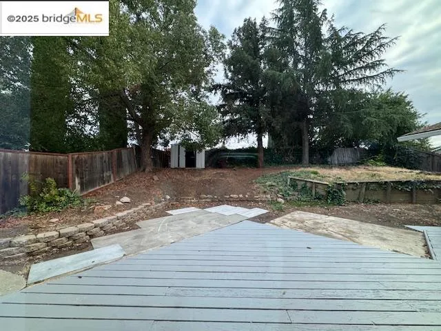 a view of a yard with plants and trees