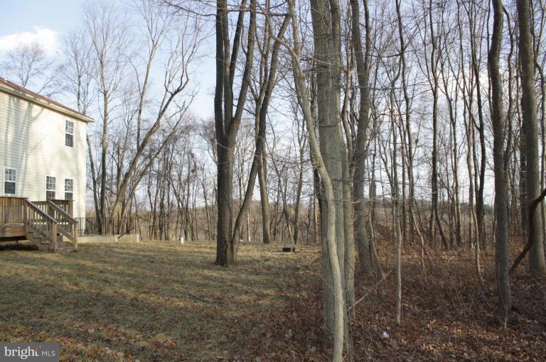 917 Bernoudy Road White Hall, MD 21161 - Photo 2 of 30 Back yard