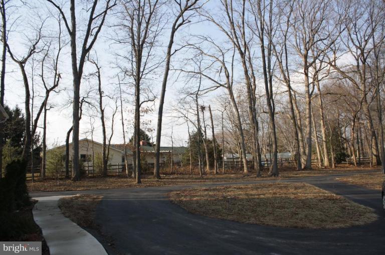 917 Bernoudy Road White Hall, MD 21161 - Photo 18 of 30 DRIVEWAY