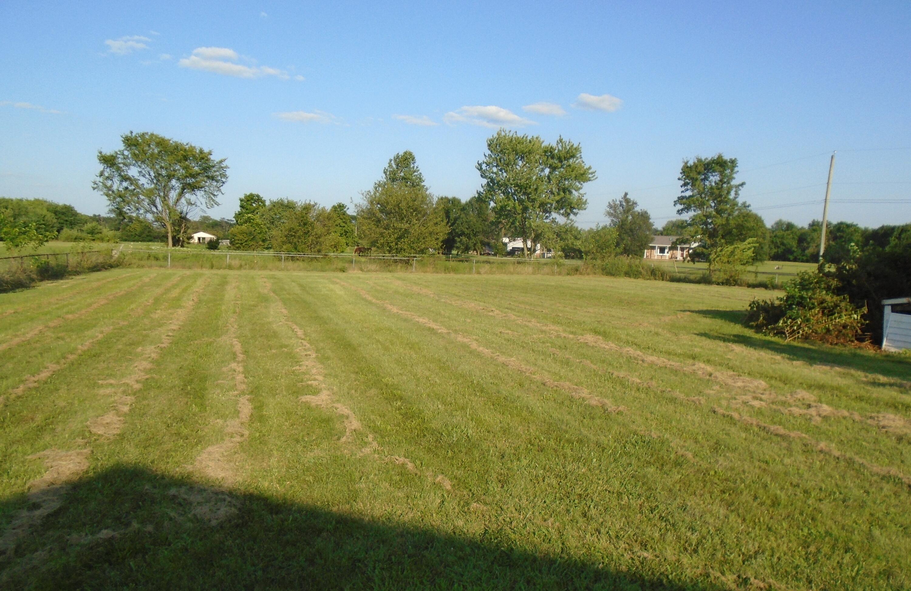 6670 Ridpath Road Grove City, OH 43123 - Photo 23 of 30 Yard