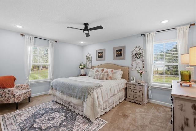 2065 Buster Walker Road Waynesville, GA 31566 - Photo 18 of 42