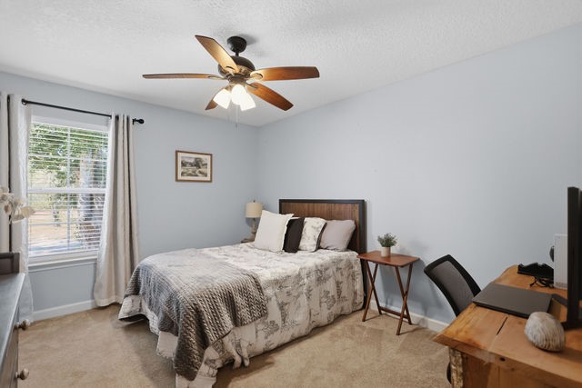 2065 Buster Walker Road Waynesville, GA 31566 - Photo 29 of 42