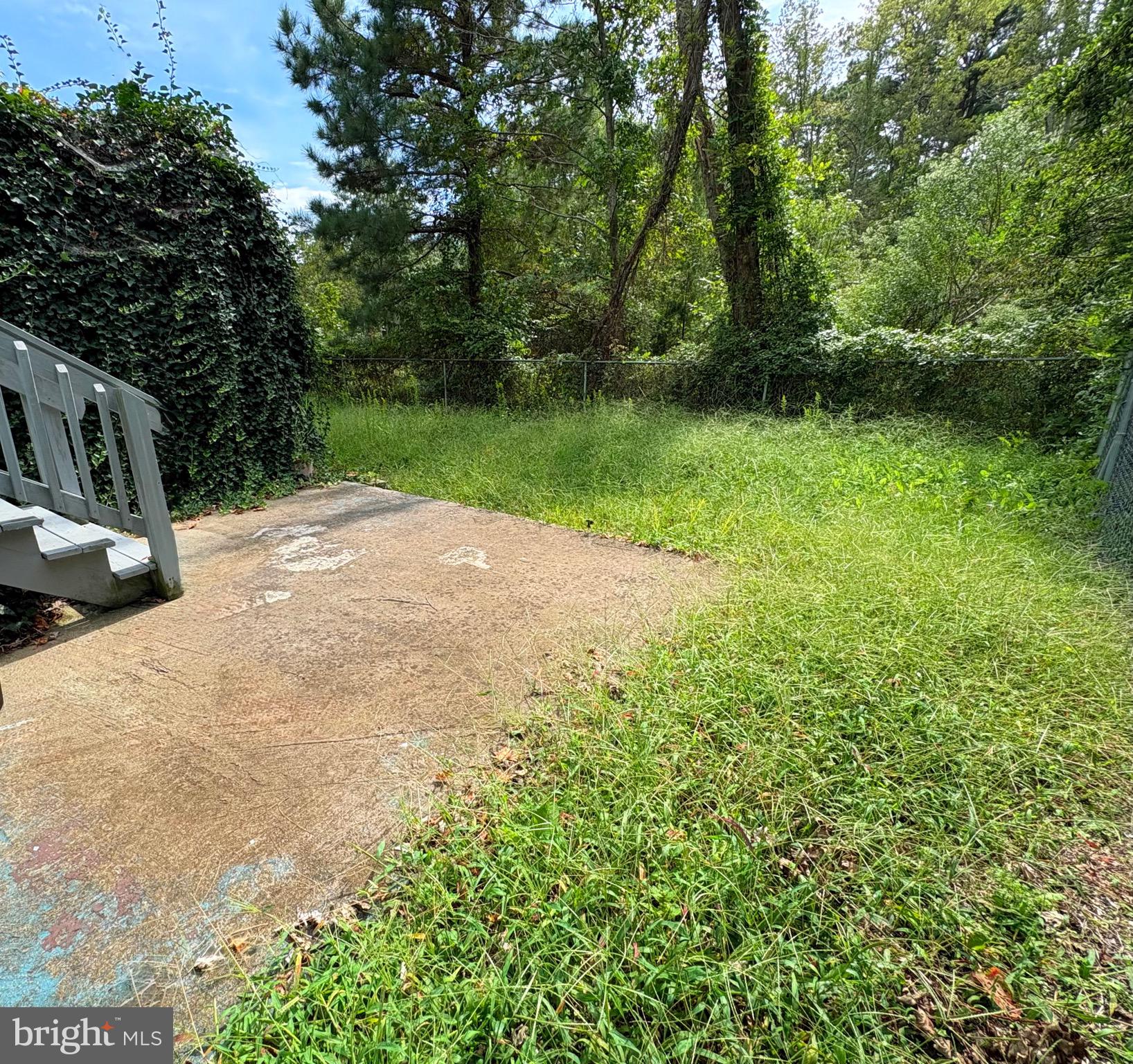 27199 Nevitte Muir Road Westover, MD 21871 - Photo 25 of 31 a view of a yard with potted plants and large trees