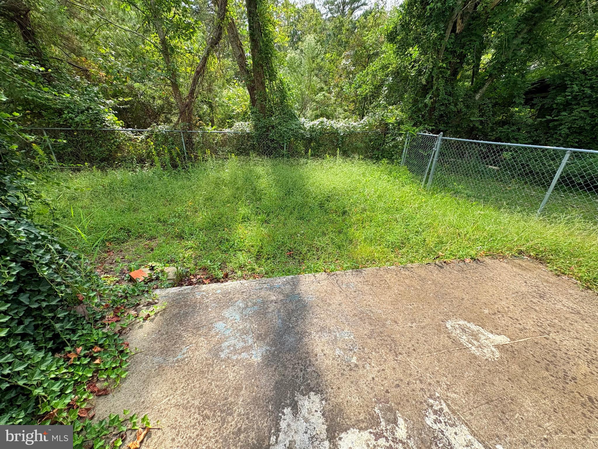 27199 Nevitte Muir Road Westover, MD 21871 - Photo 26 of 31 a backyard of a house with lots of green space and lake view