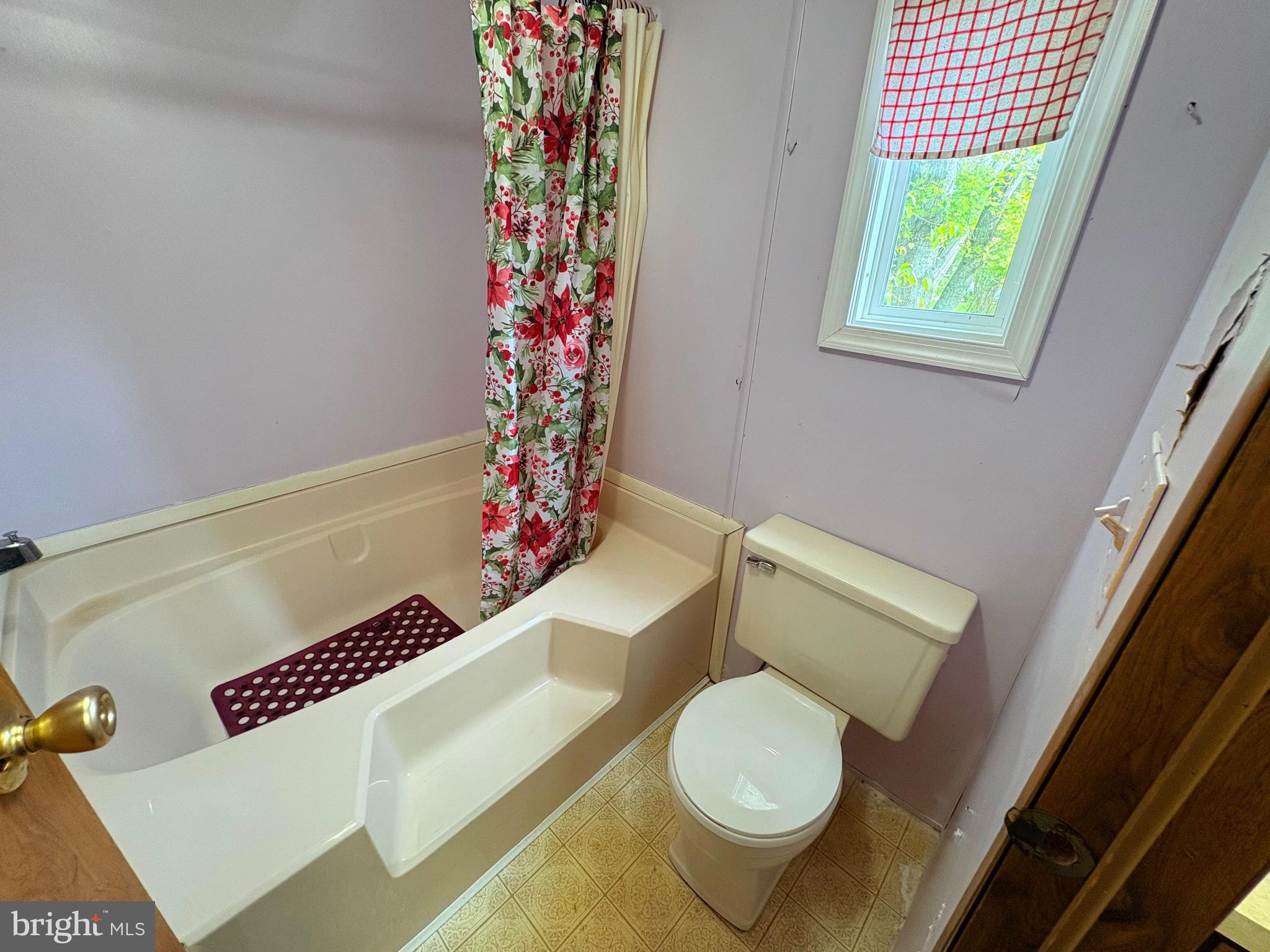 27199 Nevitte Muir Road Westover, MD 21871 - Photo 10 of 31 a bathroom with a toilet and a shower