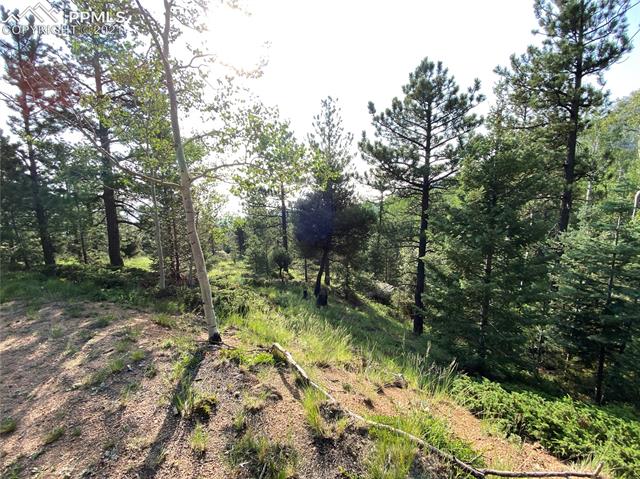 319 Forest Road Manitou Springs, CO 80829 - Photo 3 of 8 Gallery Image 3