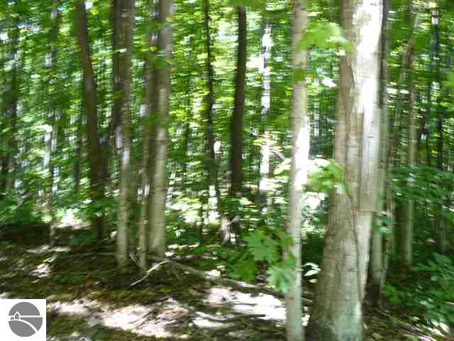 2144 North Jacobson Road, Unit LOT: 4 Suttons Bay, MI 49682 - Photo 2 of 7