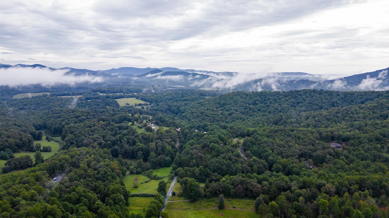 2151 Stagebridge Road Lovingston, VA 22949 - Photo 50 of 51 a view of a city with lush green forest