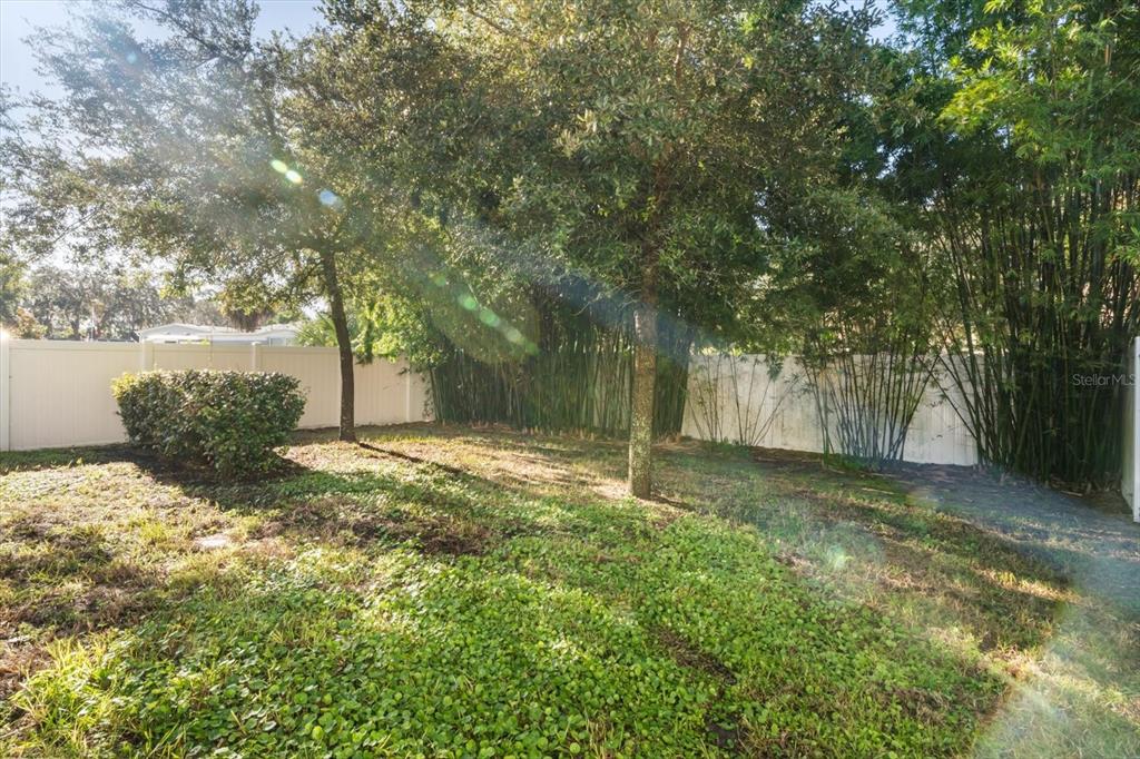 1289 Ash Tree Cove Casselberry, FL 32707 - Photo 28 of 34 a view of a yard with a tree