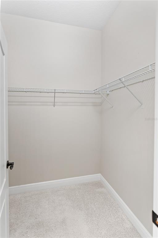13017 Steinhatchee Loop Venice, FL 34293 - Photo 33 of 98 a view of an empty walk in closet