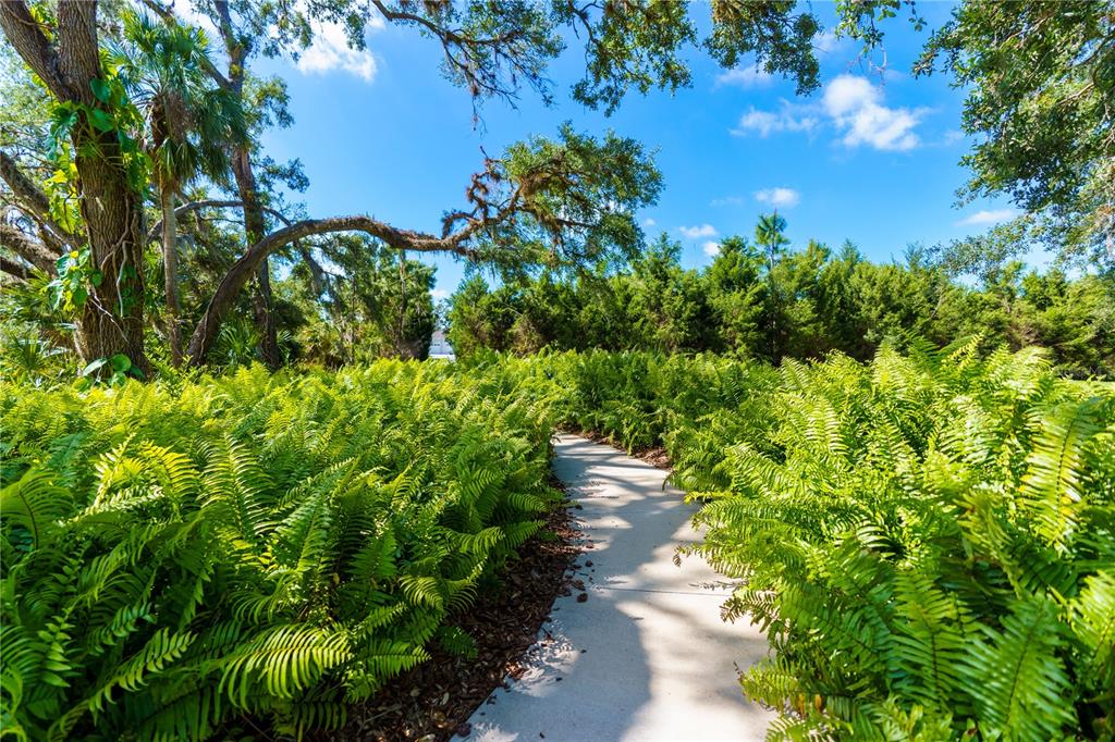 13017 Steinhatchee Loop Venice, FL 34293 - Photo 96 of 98 a view of a garden with plants and a bench