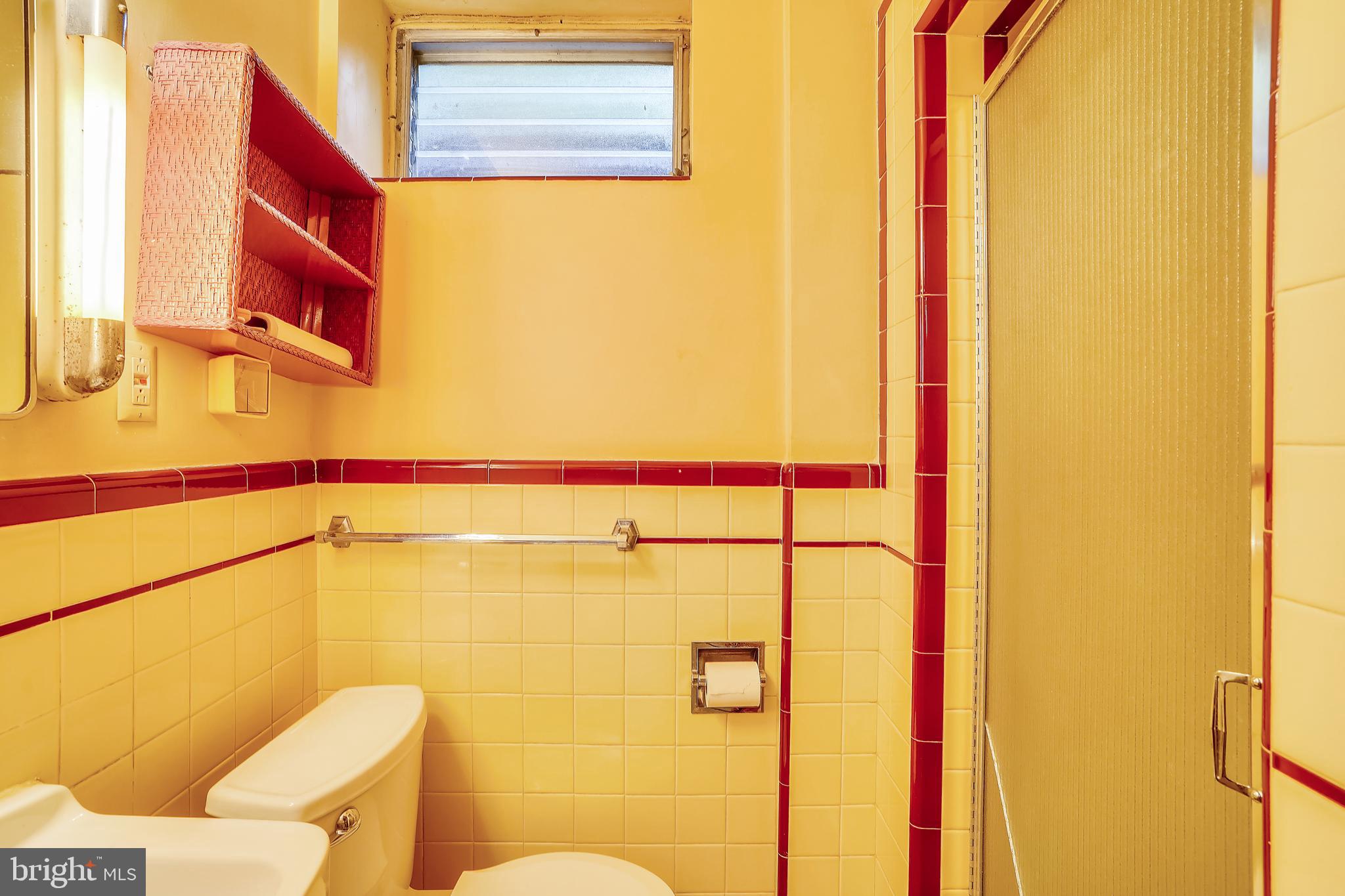 203 East Schuyler Road Silver Spring, MD 20901 - Photo 23 of 37 Lower level full bath
