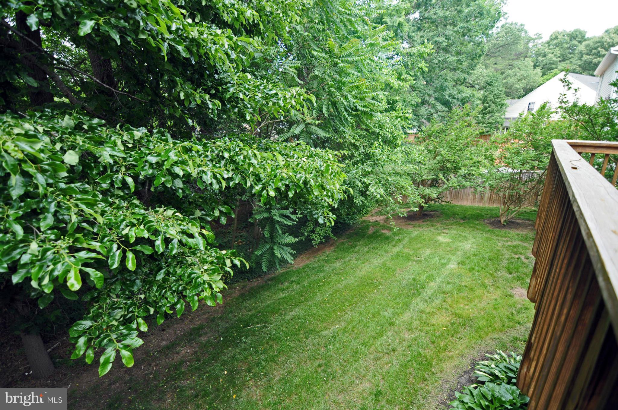 1514 Ringe Drive Severn, MD 21144 - Photo 23 of 26 Yard From Deck