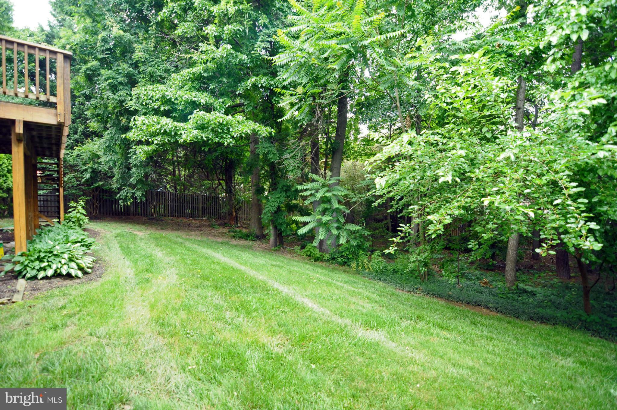 1514 Ringe Drive Severn, MD 21144 - Photo 24 of 26 Yard View 1