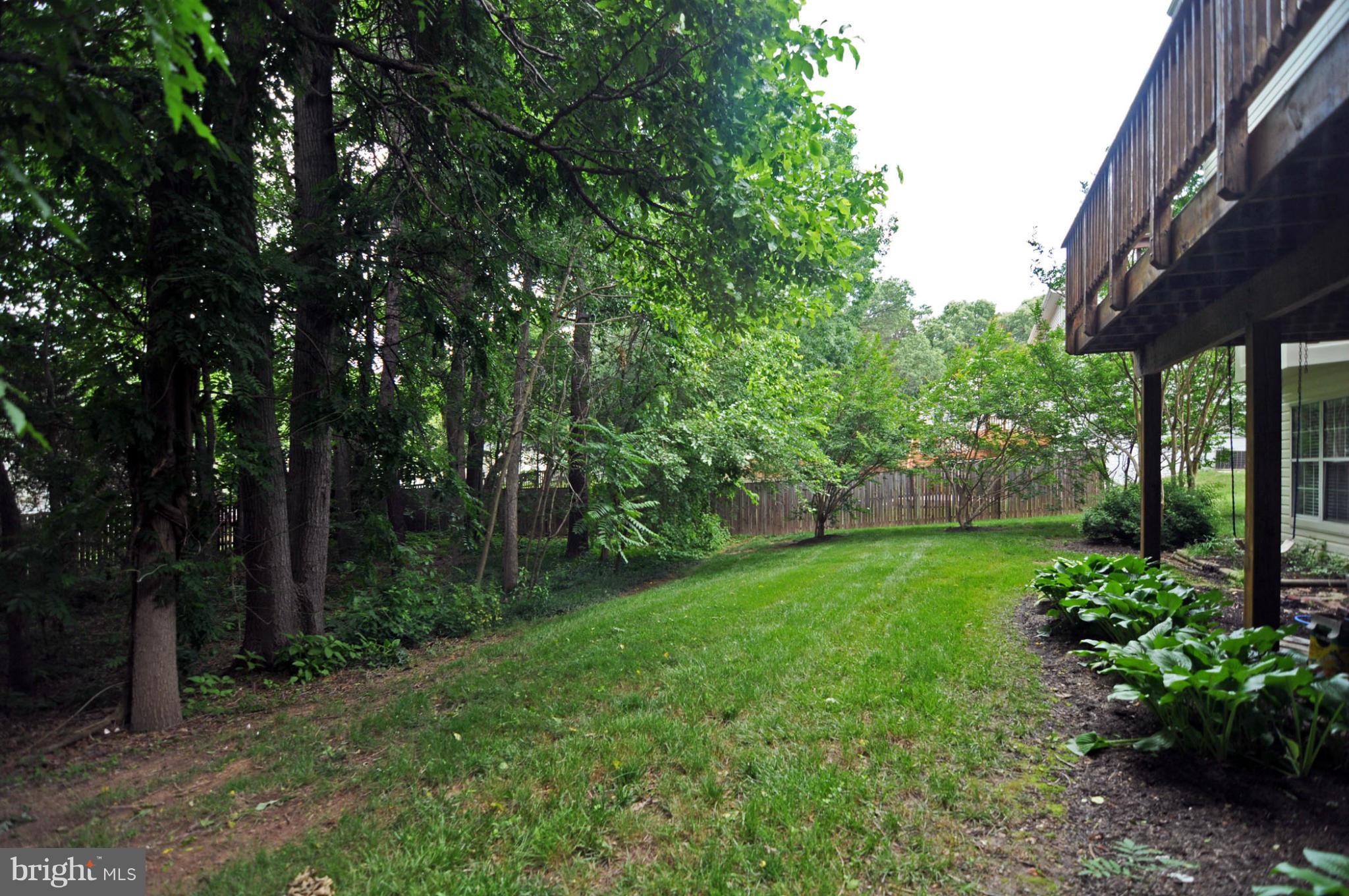 1514 Ringe Drive Severn, MD 21144 - Photo 25 of 26 Yard View 2