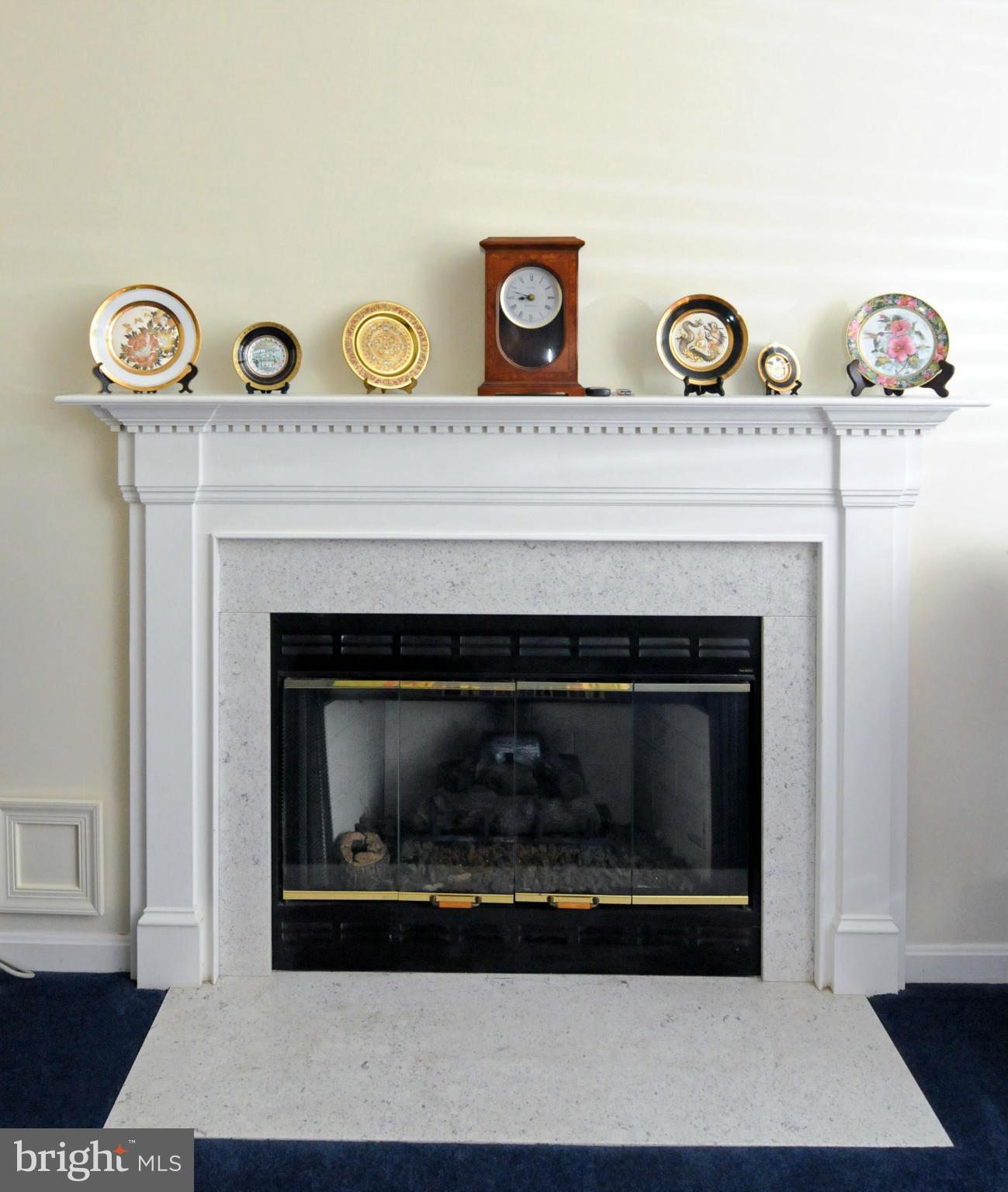 1514 Ringe Drive Severn, MD 21144 - Photo 9 of 26 Family Room Gas Fireplace