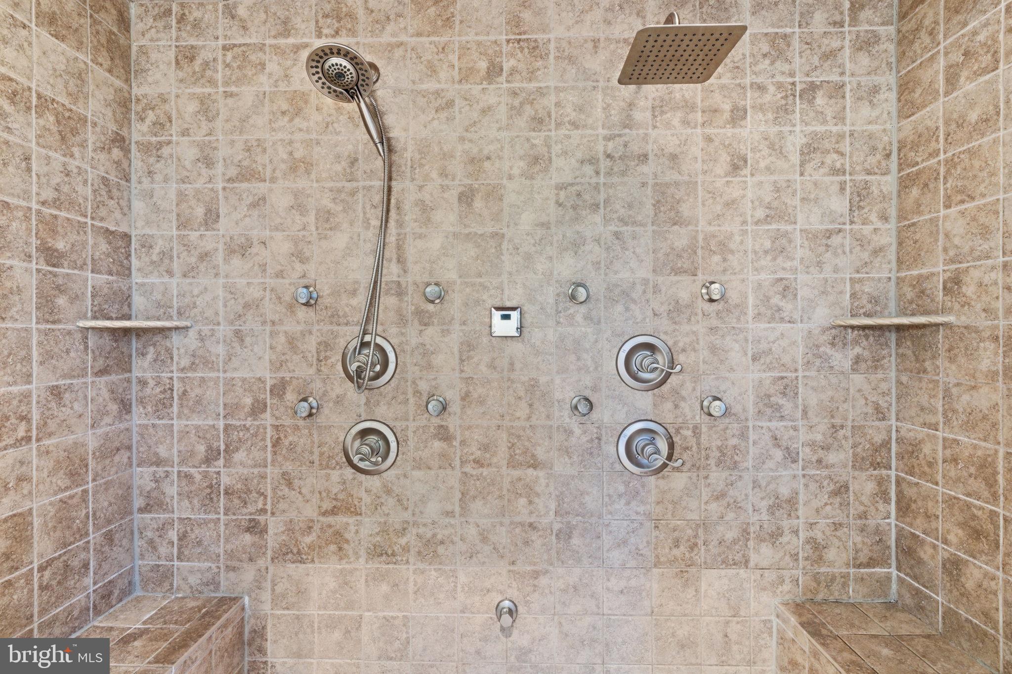 9 Deer Ridge Court Phoenix, MD 21131 - Photo 51 of 96 MUTIPLE BODY SPRAYS & SHOWER HEADS