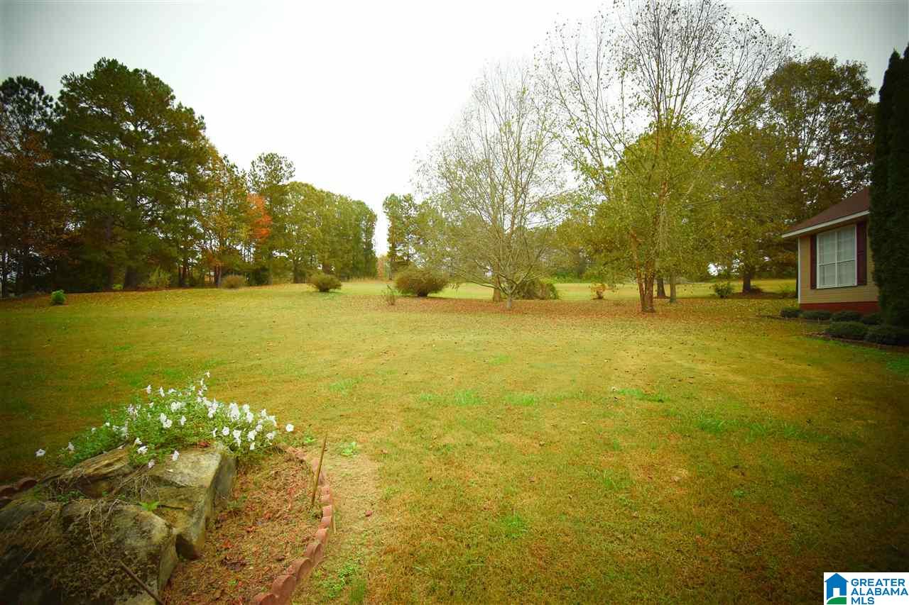 1270 Hamm Road Blountsville, AL 35031 - Photo 5 of 31