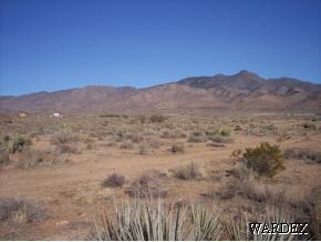 0 North Paloma Road Chloride, AZ 86431 - Photo 2 of 6 Additional Photo