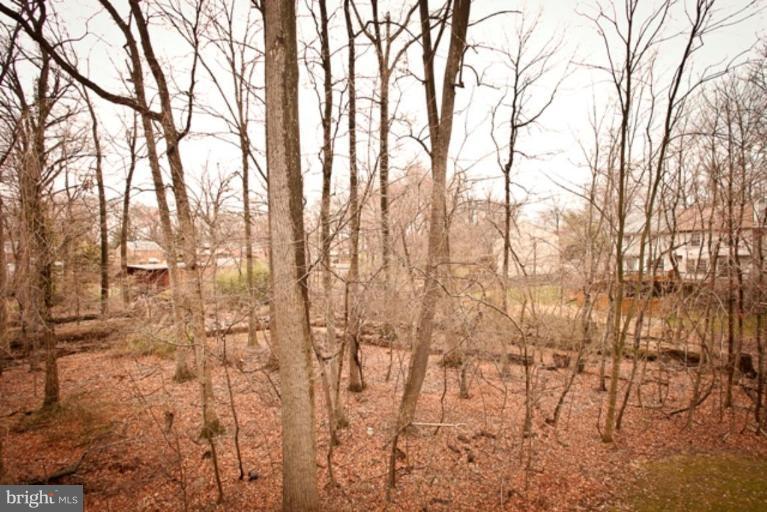 12012 Saw Mill Court Silver Spring, MD 20902 - Photo 20 of 30 Deck - View from
