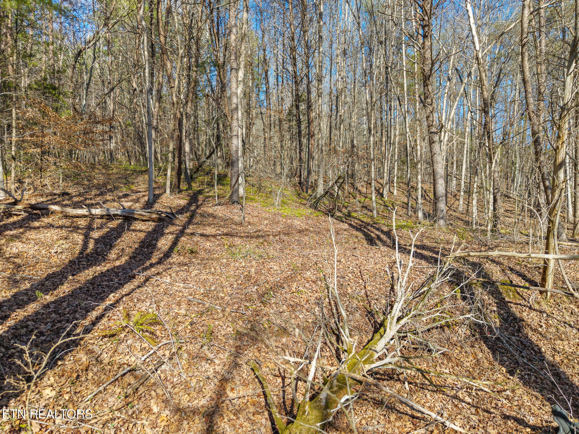 0 Happy Hollow Road Madisonville, TN 37354 - Photo 6 of 11