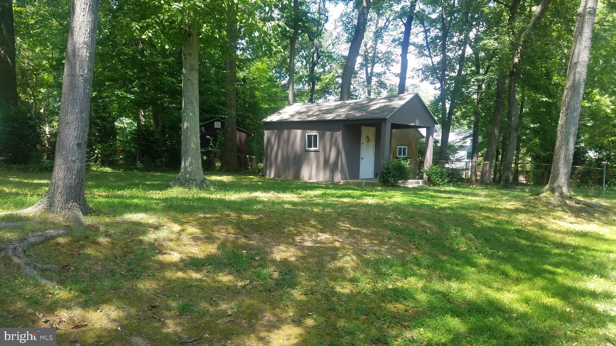 8618 Bradgate Road Alexandria, VA 22308 - Photo 22 of 22 Rebuilt shed