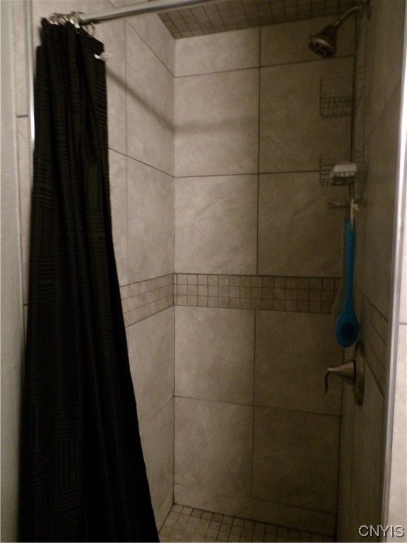 2027 Arcadia Drive Virgil, NY 13045 - Photo 21 of 29 Shower